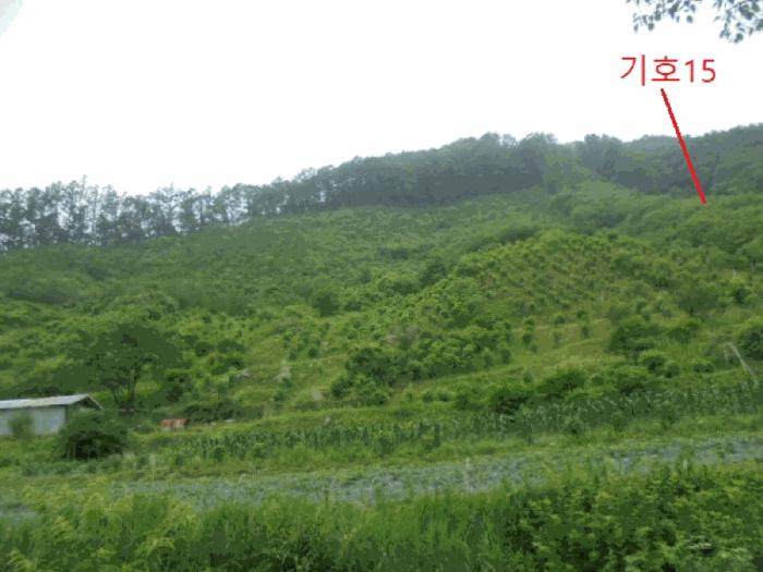 법원경매 2025타경5339 사진35 | 제천시 한수면 덕곡리 임야 경매