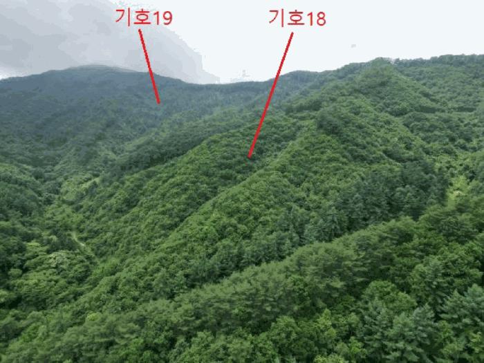 법원경매 2025타경5339 사진4 | 제천시 한수면 덕곡리 임야 경매