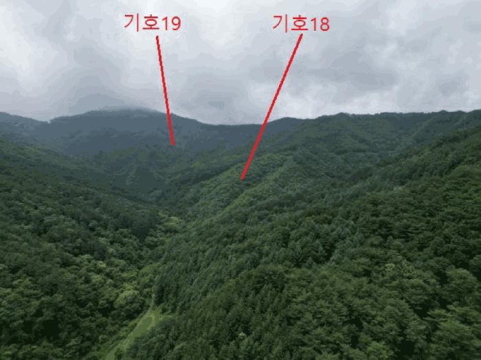 2025타경5339 법원경매 사진24 | 충북 제천시 임야 경매