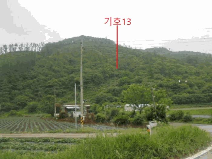 2025타경5339 법원경매 사진30 | 충북 제천시 임야 경매