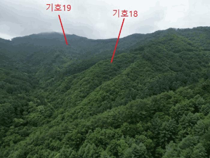 2025타경5339 법원경매 사진41 | 충북 제천시 임야 경매