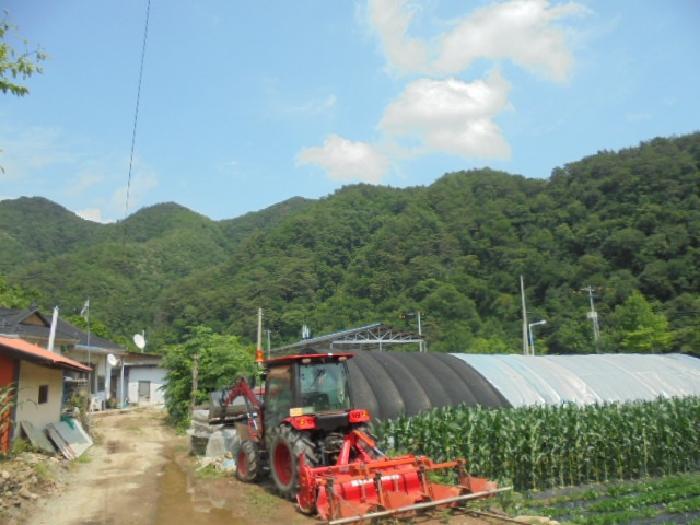 2025타경5339 법원경매 사진56 | 충북 제천시 임야 경매