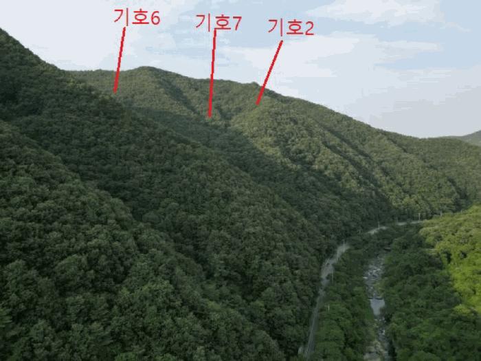 2025타경5339 법원경매 사진7 | 충북 제천시 임야 경매