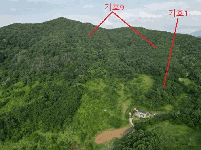 2025타경5339 법원경매 사진71 | 충북 제천시 임야 경매