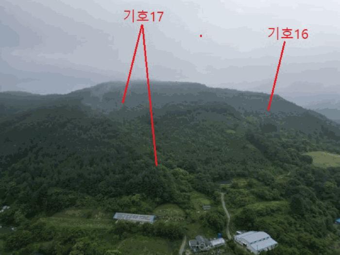 2025타경5339 법원경매 사진8 | 충북 제천시 임야 경매