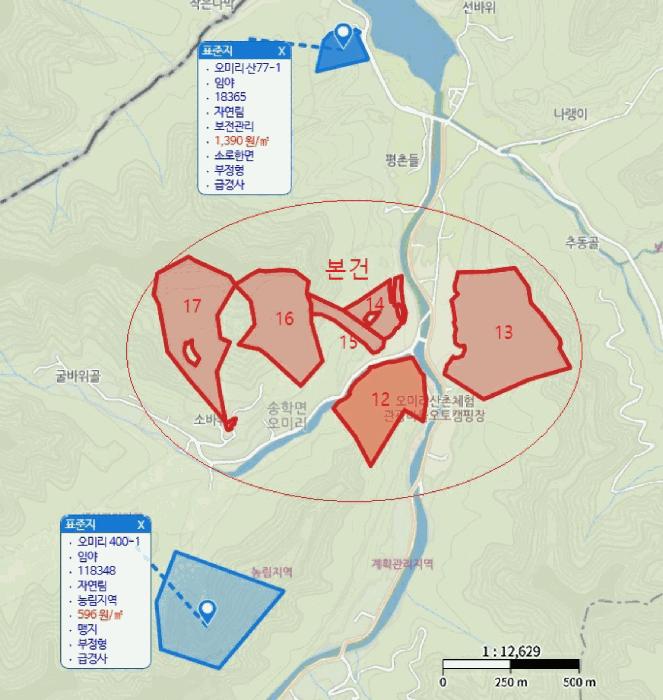 2025타경5339 법원경매 사진80 | 충북 제천시 임야 경매
