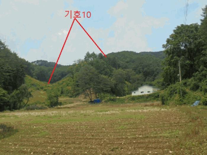 2025타경5339 법원경매 사진33 | 충북 제천시 임야 경매
