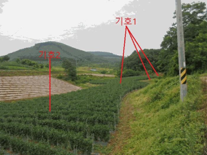 2025타경5341 법원경매 사진2 | 충북 단양군 전 경매