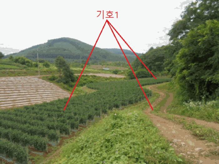 2025타경5341 법원경매 사진3 | 충북 단양군 전 경매