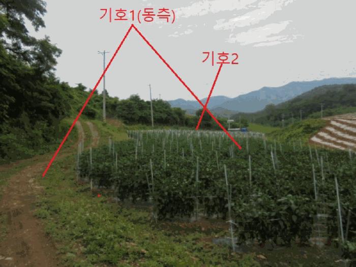2025타경5341 법원경매 사진4 | 충북 단양군 전 경매