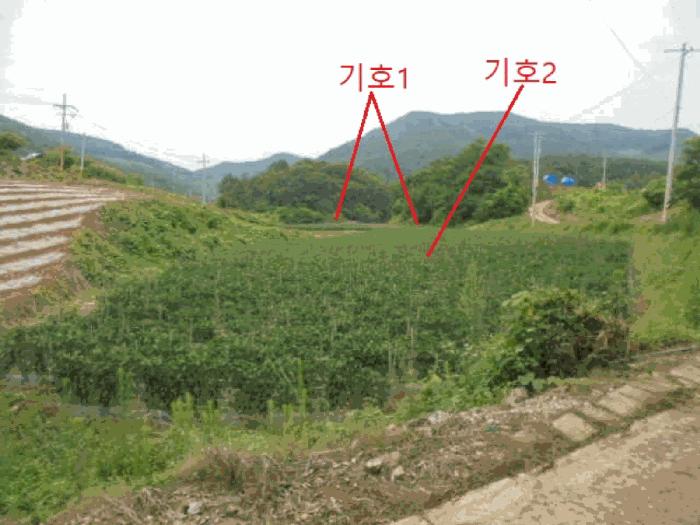 2025타경5341 법원경매 사진5 | 충북 단양군 전 경매