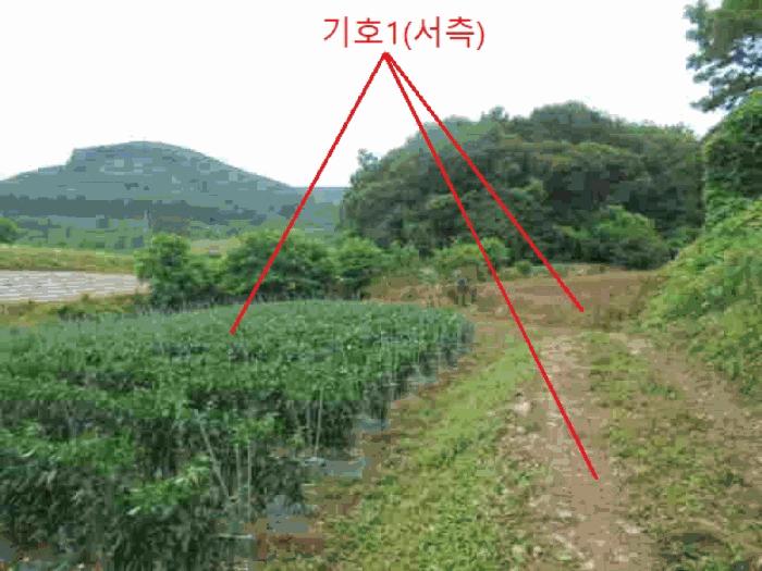 2025타경5341 법원경매 사진6 | 충북 단양군 전 경매