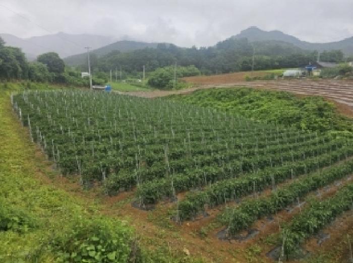 2025타경5341 법원경매 사진7 | 충북 단양군 전 경매