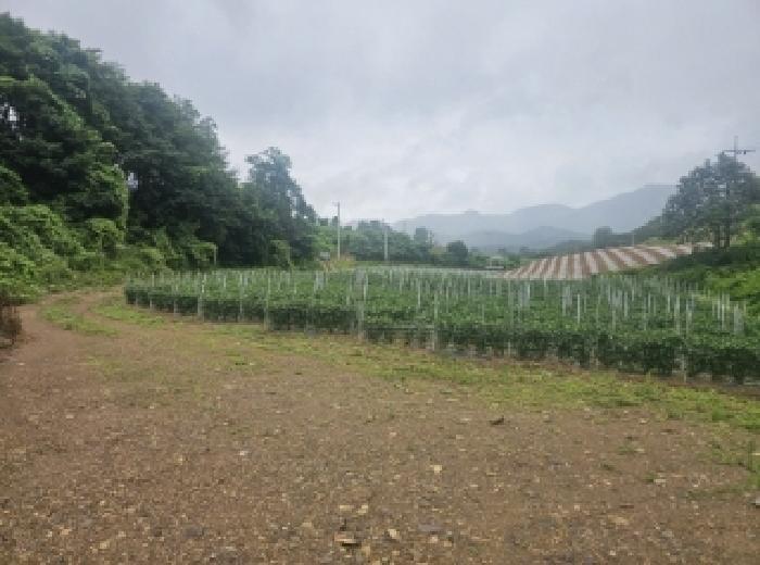 2025타경5341 법원경매 사진9 | 충북 단양군 전 경매