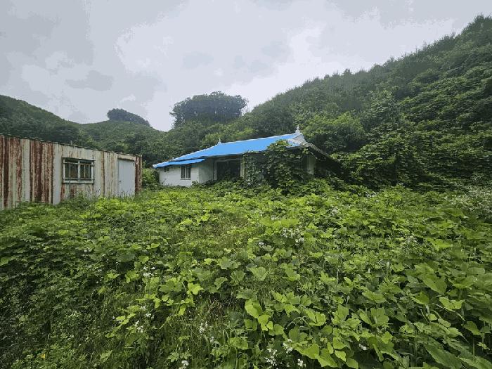 2025타경5343 법원경매 사진3 | 충북 제천시 대지 경매