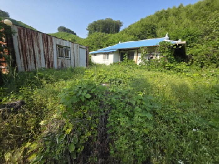 2025타경5343 법원경매 사진5 | 충북 제천시 대지 경매