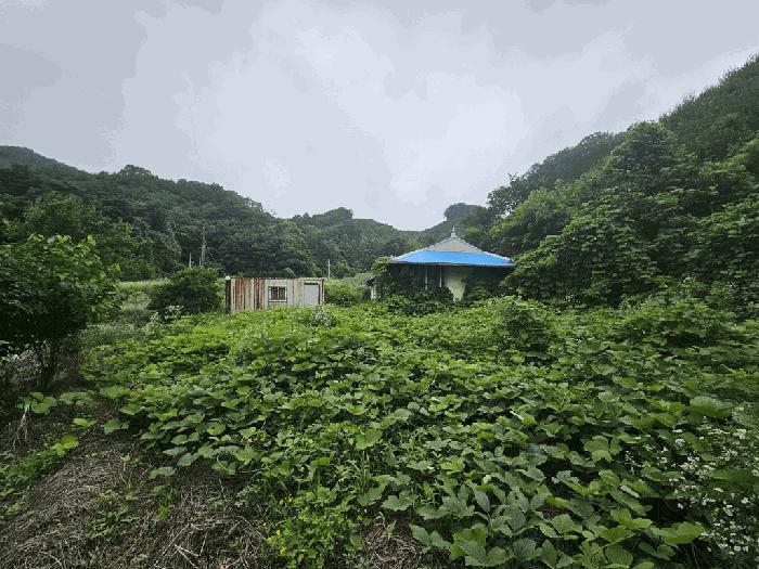 2025타경5343 법원경매 사진8 | 충북 제천시 대지 경매