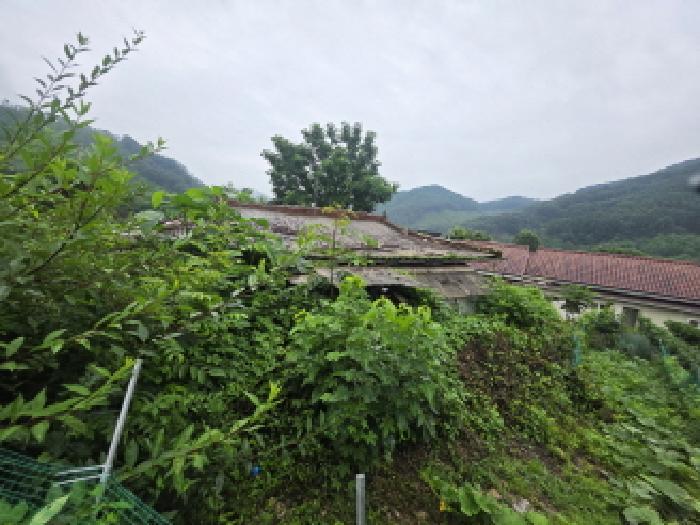 2025타경5369 법원경매 사진10 | 충북 제천시 답 경매