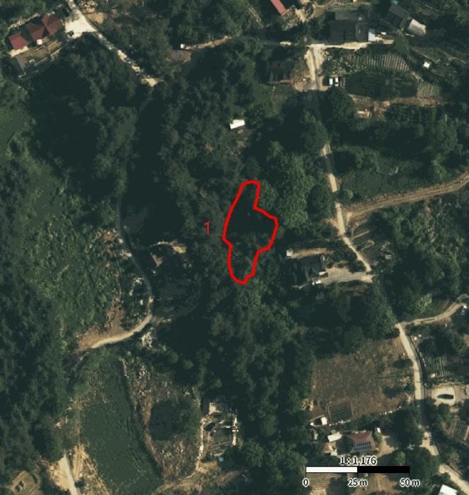 2025타경5369 법원경매 사진16 | 충북 제천시 답 경매