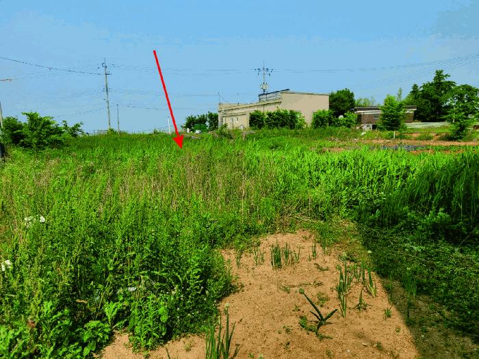 충청남도 아산시 둔포면 신양리 259-38 법원경매 물건 대표사진