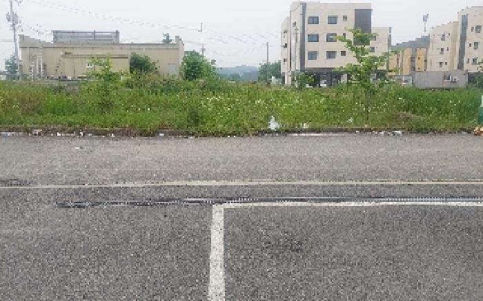 2025타경506 법원경매 사진15 | 충남 아산시 임야 경매