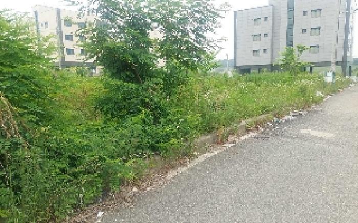 2025타경506 법원경매 사진26 | 충남 아산시 임야 경매