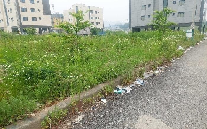 2025타경506 법원경매 사진28 | 충남 아산시 임야 경매