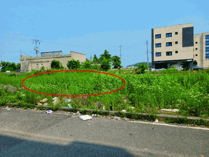 2025타경506 법원경매 사진6 | 충남 아산시 임야 경매
