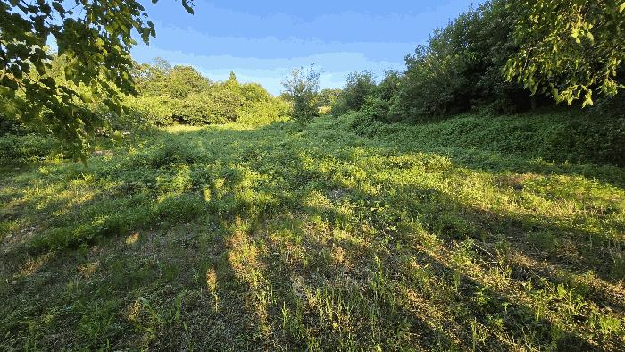 2025타경653 법원경매 사진4 | 충남 아산시 전 경매