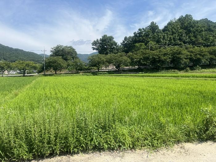 경상남도 산청군 오부면 중촌리 409-4 법원경매 물건 대표사진