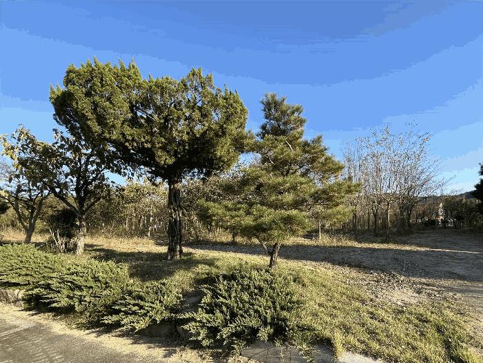 2024타경3881 법원경매 사진7 | 전주 완산구 답 경매