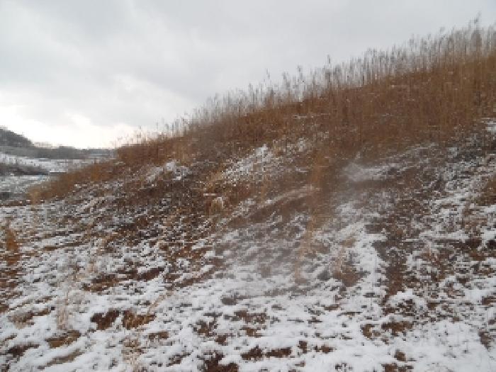법원경매 2025타경579 사진52 | 완주군 용진읍 구억리 10-5 임야 경매