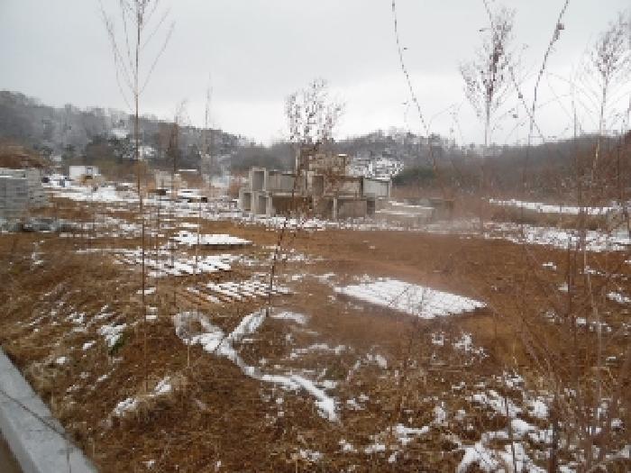 법원경매 2025타경579 사진58 | 완주군 용진읍 구억리 10-5 임야 경매