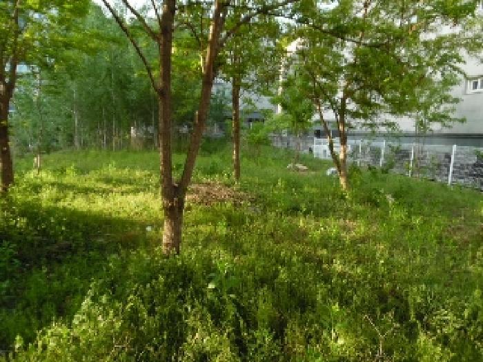 2025타경663 법원경매 사진37 | 전주 완산구 대지 경매
