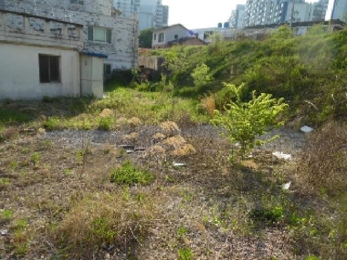 2025타경663 법원경매 사진49 | 전주 완산구 대지 경매