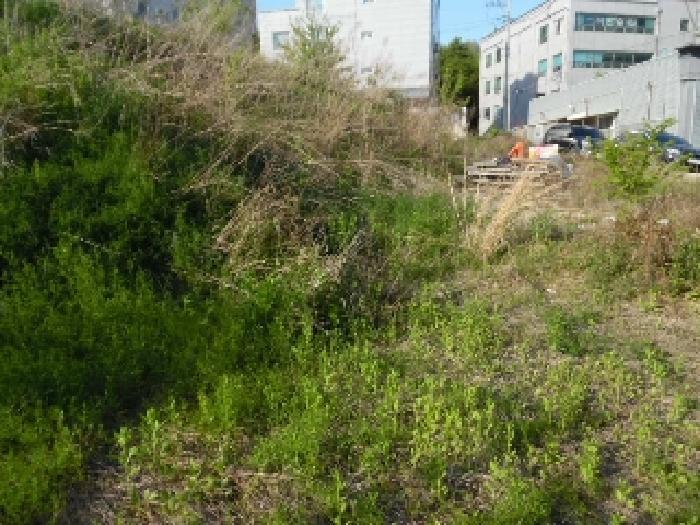 2025타경663 법원경매 사진52 | 전주 완산구 대지 경매