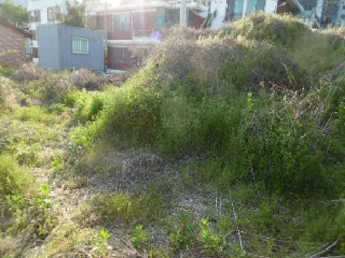 2025타경663 법원경매 사진58 | 전주 완산구 대지 경매