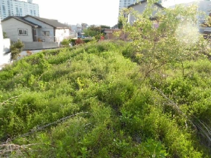 2025타경663 법원경매 사진64 | 전주 완산구 대지 경매
