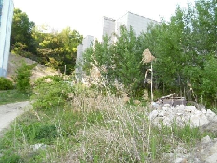 2025타경663 법원경매 사진69 | 전주 완산구 대지 경매