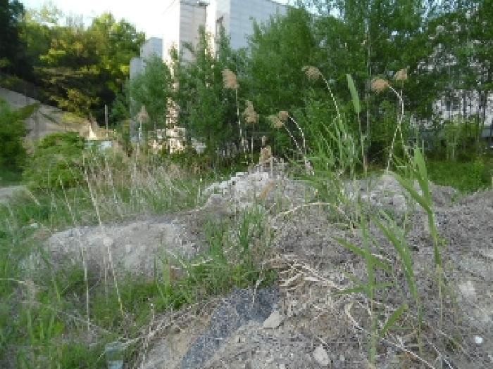 2025타경663 법원경매 사진72 | 전주 완산구 대지 경매