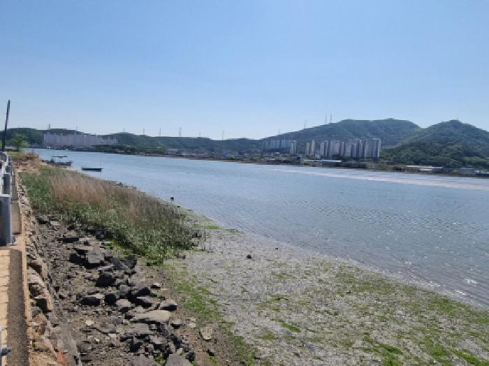 2025타경446 법원경매 사진24 | 전남 광양시 잡종지 경매