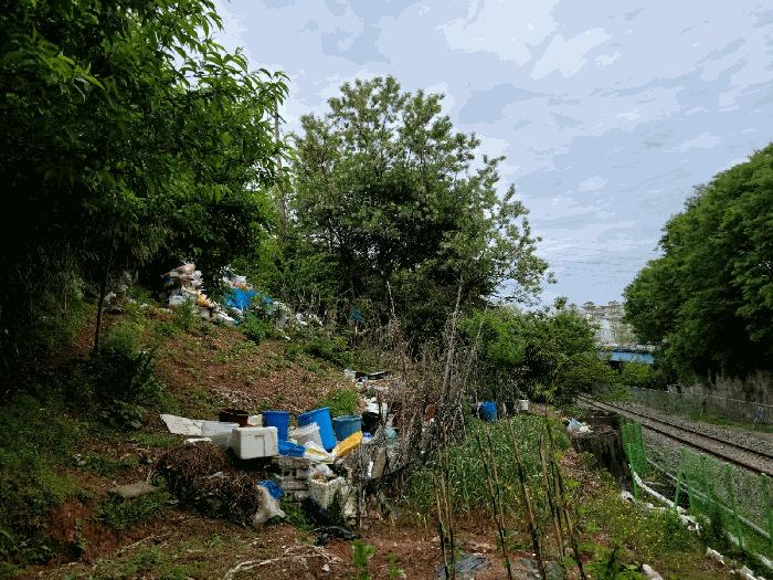 2025타경446 법원경매 사진10 | 전남 광양시 임야 경매