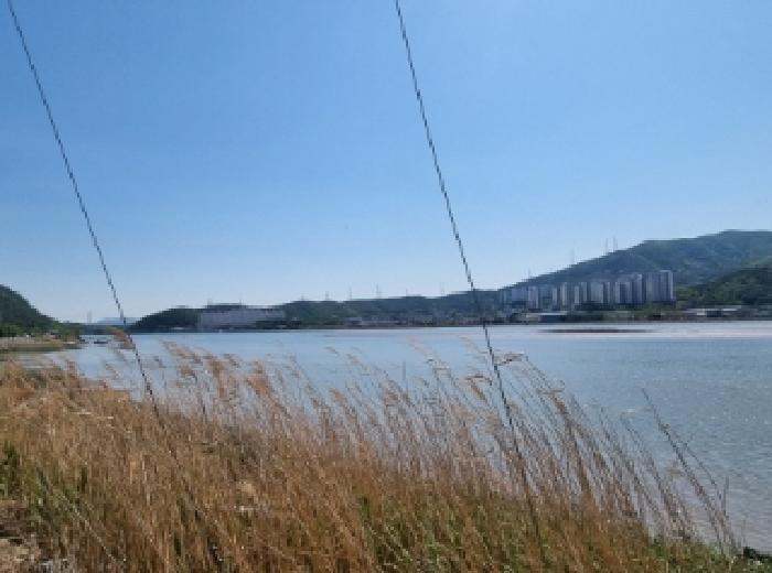 2025타경446 법원경매 사진19 | 전남 광양시 임야 경매