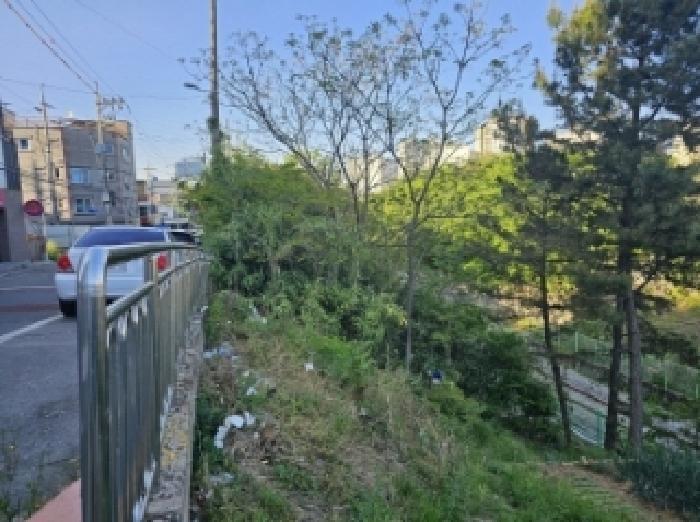 2025타경446 법원경매 사진37 | 전남 광양시 임야 경매