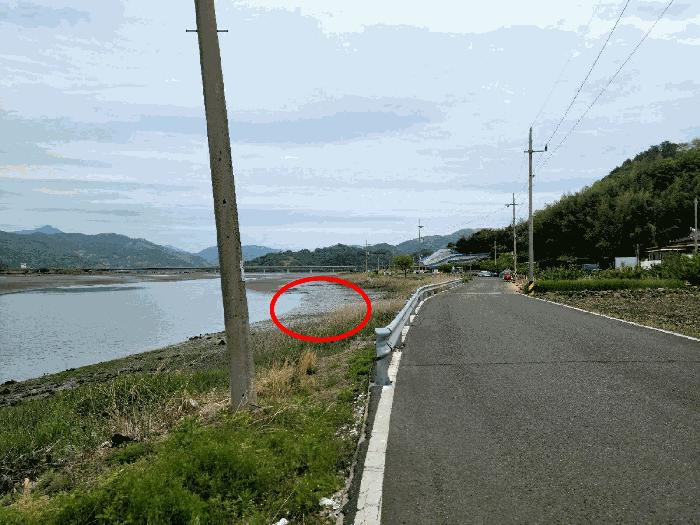 전남 광양시 황길동 산10-2 임야 사진 5