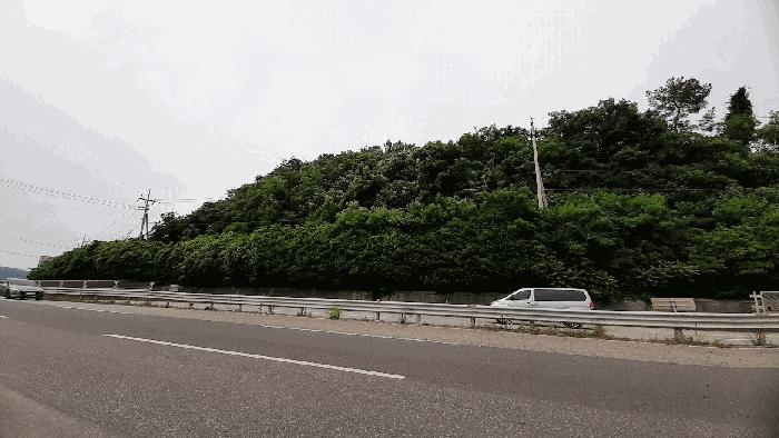 2025타경463 법원경매 사진8 | 전남 순천시 임야 경매