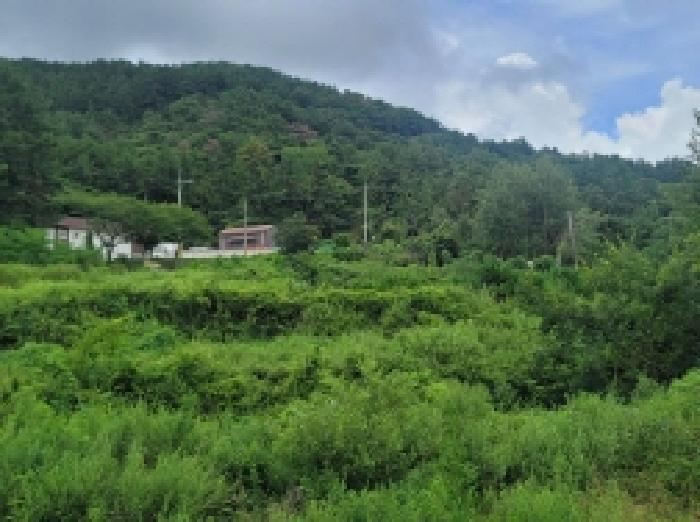 2025타경524 법원경매 사진8 | 경남 거제시 답 경매