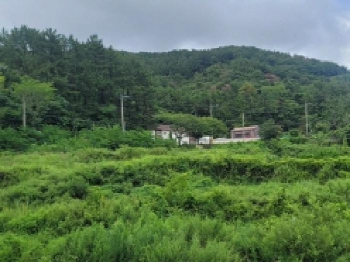 2025타경524 법원경매 사진9 | 경남 거제시 답 경매