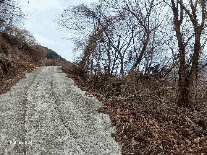 2025타경50886 법원경매 사진2 | 전남 광양시 단독주택다가구 경매