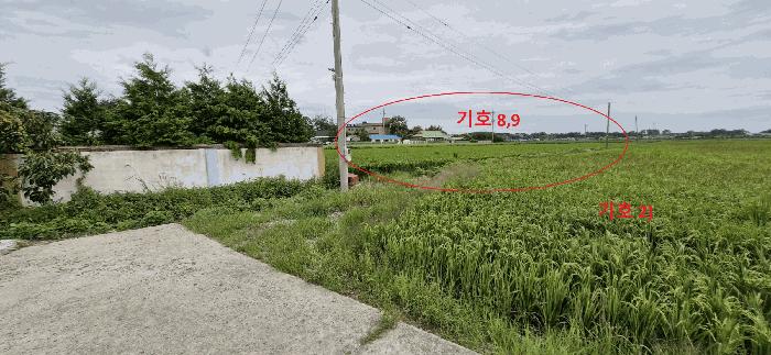 2025타경925 법원경매 사진5 | 전북 김제시 답 경매